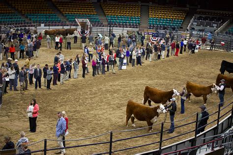 Fort Worth Stock Show & Rodeo, Fort Worth, Texas. . Stock show
